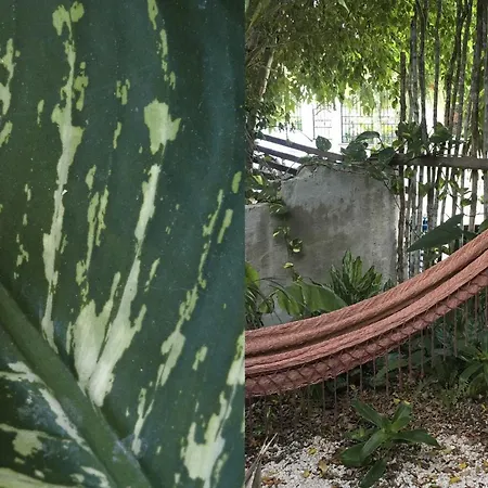 Wabi Sabi Garden By Amara Concepts. *