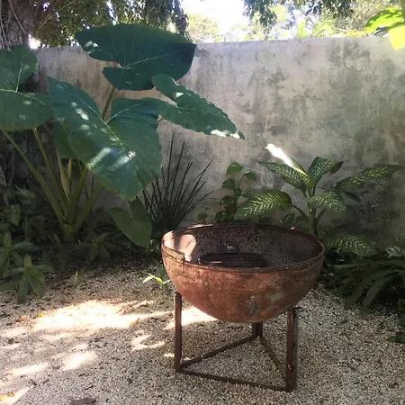 Wabi Sabi Garden By Amara Concepts. Hotel Tulum