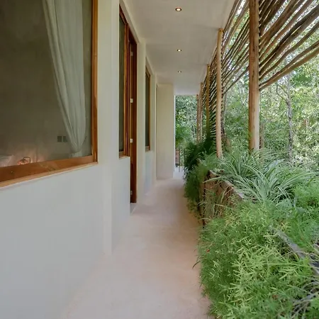 Naum - Secluded With Private Cenote Tulum