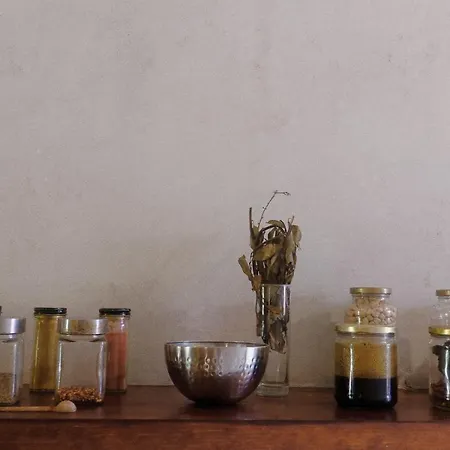 Wabi Sabi Garden By Amara Concepts. Hotel Tulum