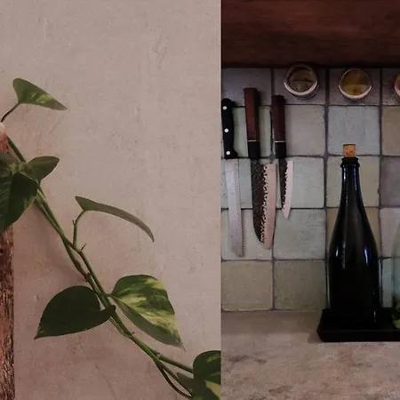 Hotel Wabi Sabi Garden By Amara Concepts. Tulum