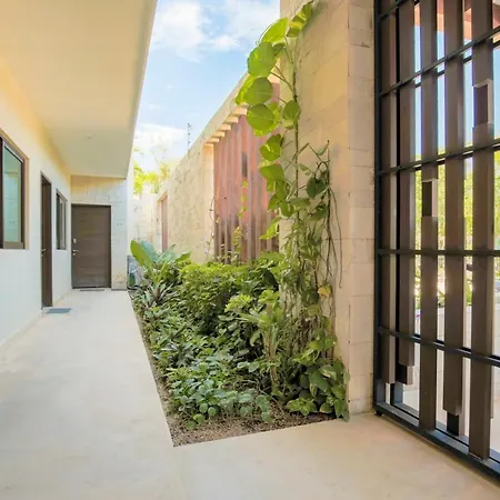 Hostpal Departamento En Para 4 Personas Tulum