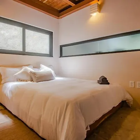 Apartment 2 Recamaras Practico Y Hermoso En Centro De Tulum