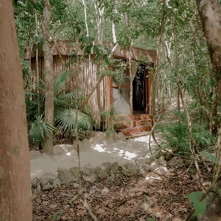 Naum - Secluded With Private Cenote Tulum