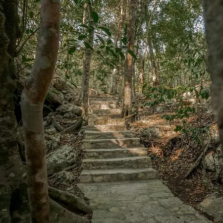 Naum - Secluded With Private Cenote * Tulum