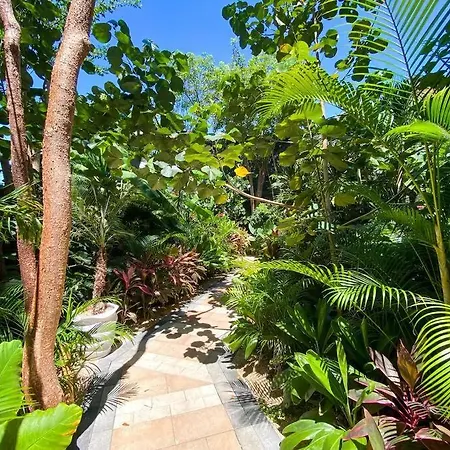 Estudio Con Cocina, Cenote, Spa, Temazcal, Zona De Yoga, Piscina Y Jacuzzi