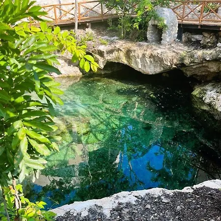 Apartment Estudio Con Cocina, Cenote, Spa, Temazcal, Zona De Yoga, Piscina Y Jacuzzi *
