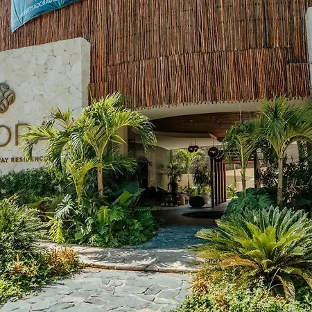 Estudio Con Cocina, Cenote, Spa, Temazcal, Zona De Yoga, Piscina Y Jacuzzi