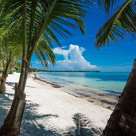 Villa Beachfront In Exclusive With Cook & Housekeeping *
