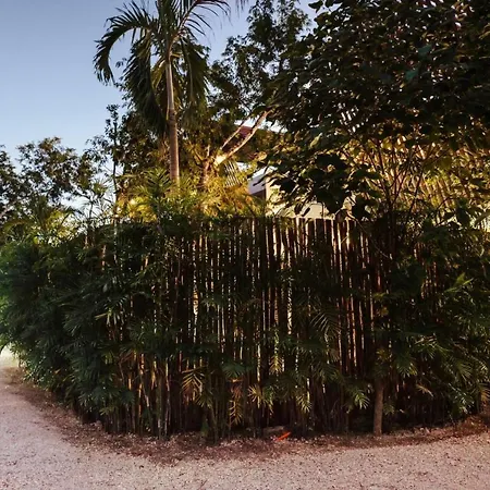 Villa Paradise Veleta 4br Private Pool & Jacuzzi Tulum