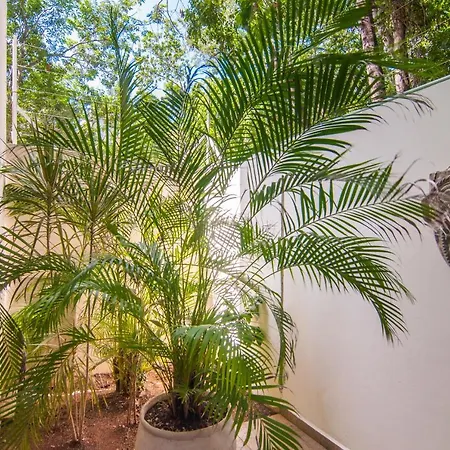 Holiday home Naj Kiin- Aldea Zama By Casago