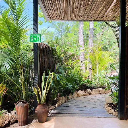 Alterhome Kuukum With Rooftop Villa Tulum