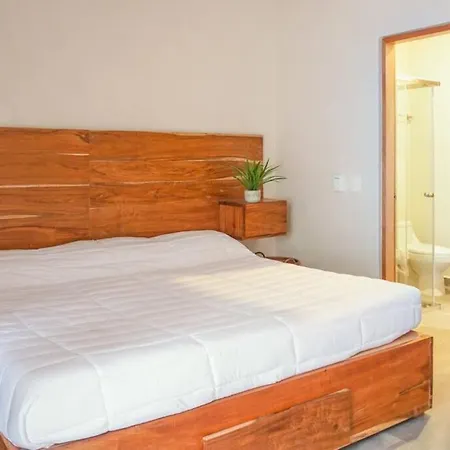 Oasis De Madera En Con Jacuzzi En El Techo Apartment