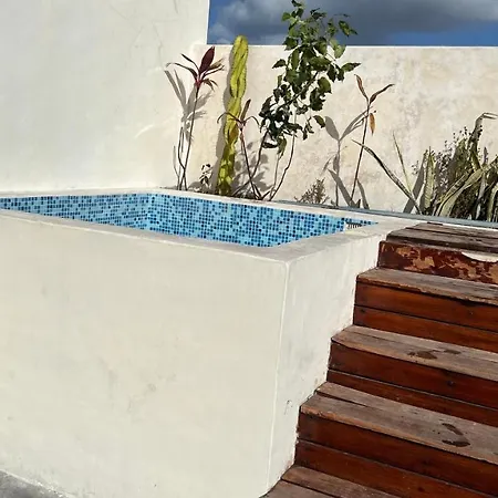 Luxury Zen Like 2 Story 3room With Rooftop Deck Pool