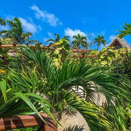 Stunning 6 Private Villas & Ph /Wifi/Ac/Pool/Gym. *