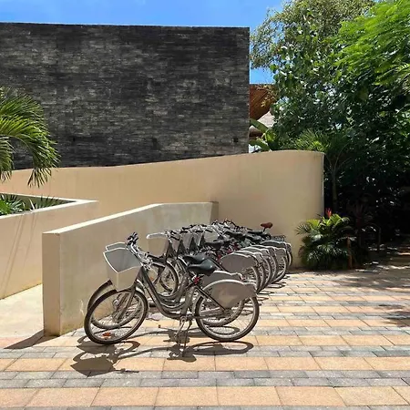 Casa Cenote With Starlink+private Pool Tulum