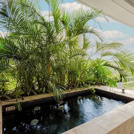 Apartment And Relax In The Jungle Of 3001