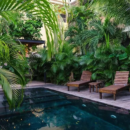 And Relax In The Jungle Of 3001 Apartment Tulum