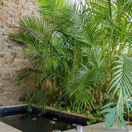 Apartment And Relax In The Jungle Of 3001 Tulum