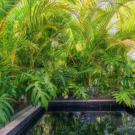And Relax In The Jungle Of 3001 *