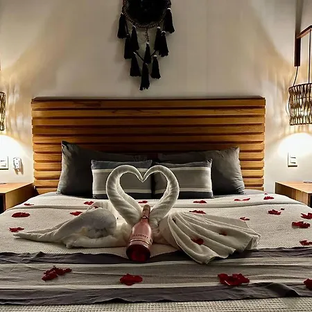 Apartment Exceptional Penthouse In Centro With Views! Tulum