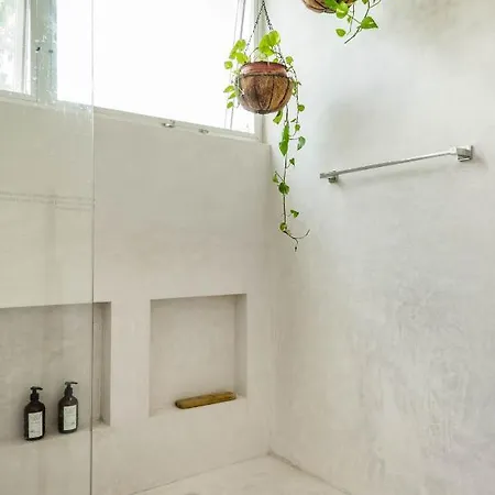 Villa Modern & Spacious W/ Private Pool In Tulum. *