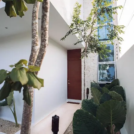 Modern & Spacious W/ Private Pool In Tulum. *