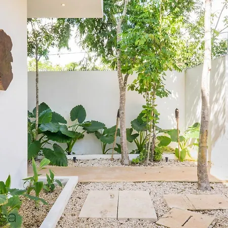 Villa Modern & Spacious W/ Private Pool In Tulum. *