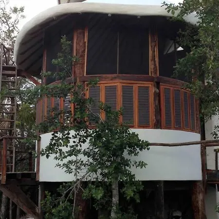 Exotic Eco House In Jungle With Private Cenote Holiday home Tulum