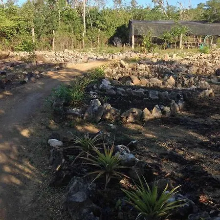 Holiday home Exotic Eco House In Jungle With Private Cenote *
