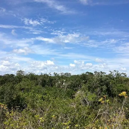 Exotic Eco House In Jungle With Private Cenote Tulum
