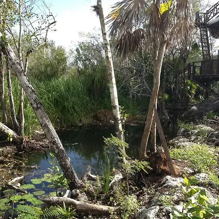 Exotic Eco House In Jungle With Private Cenote Holiday home