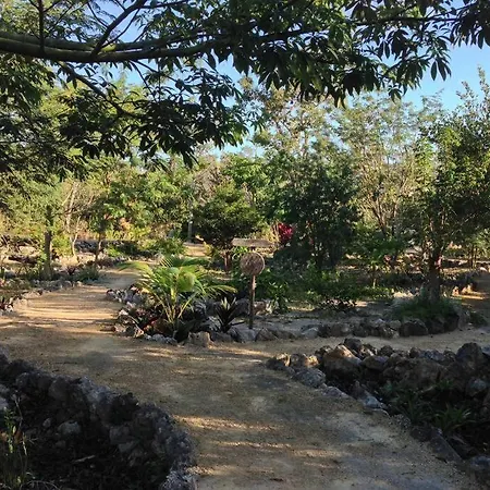 Holiday home Exotic Eco House In Jungle With Private Cenote Tulum
