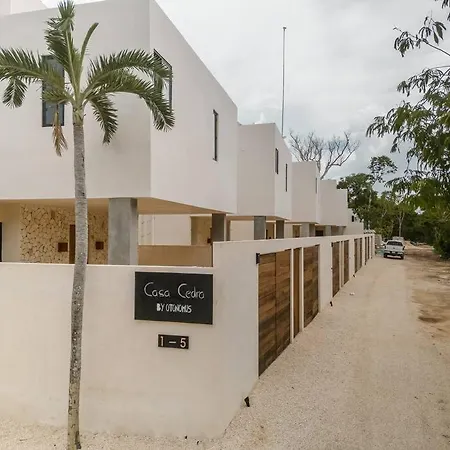 Casa Cedra 2