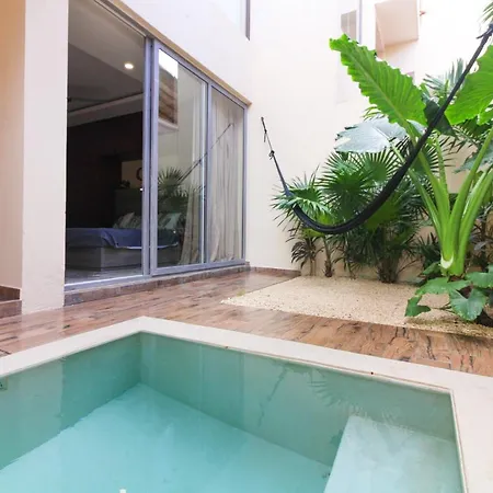 Ziba With Private Pool Apartment *