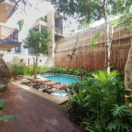 Apartment Ziba With Private Pool