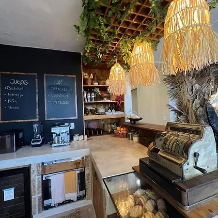 Luxury Jungle Loft With Free Scooter And Bikes Apartment