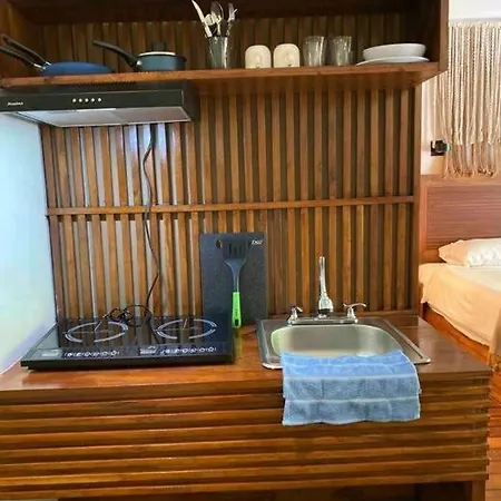 Apartment Jungle Retreat