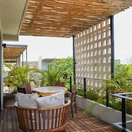 Spacious And Comfortable Apt. With Pool In Tulum