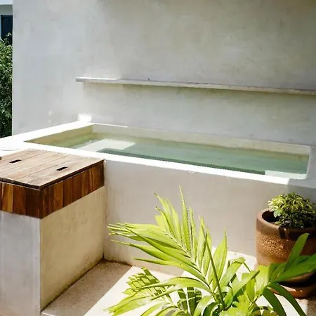 Spacious And Comfortable Apt. With Pool In Apartment
