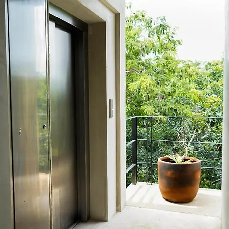 Spacious And Comfortable Apt. With Pool In Apartment *