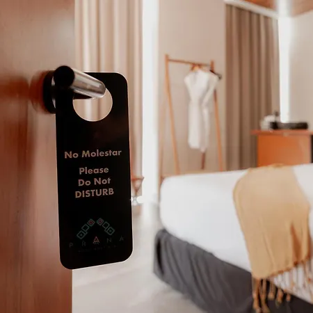 Prana Boutique 4*
