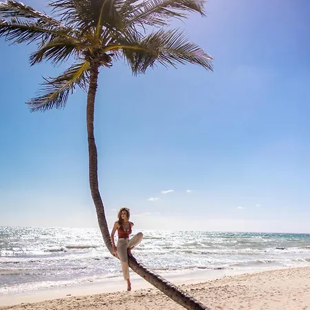 Secrets & Club (adults Only) Resort Tulum