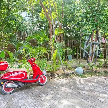 *cozy P/poo 3br, 10 Min Beach Tulum* Apartment *
