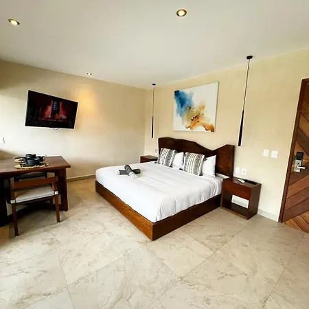 Apartment Hermoso Estudio, Alberca Privada Y Gym *