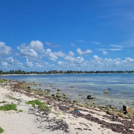 1br Jungle View Access * Tulum