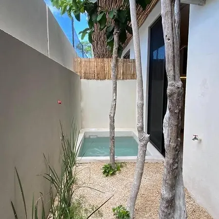 Pb2 Foresta, Con Alberca Privada Apartment *
