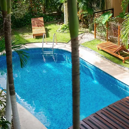 Apartment 2 Hab. | Vista A La Piscina | Espacioso Y Luminoso *
