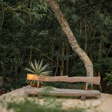 Naum - Secluded With Private Cenote Villa