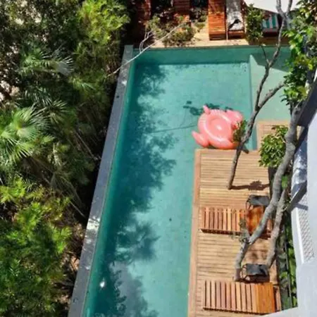 Spectacular Jungle In Th 33 Terrace Gym Private Pool Villa Tulum